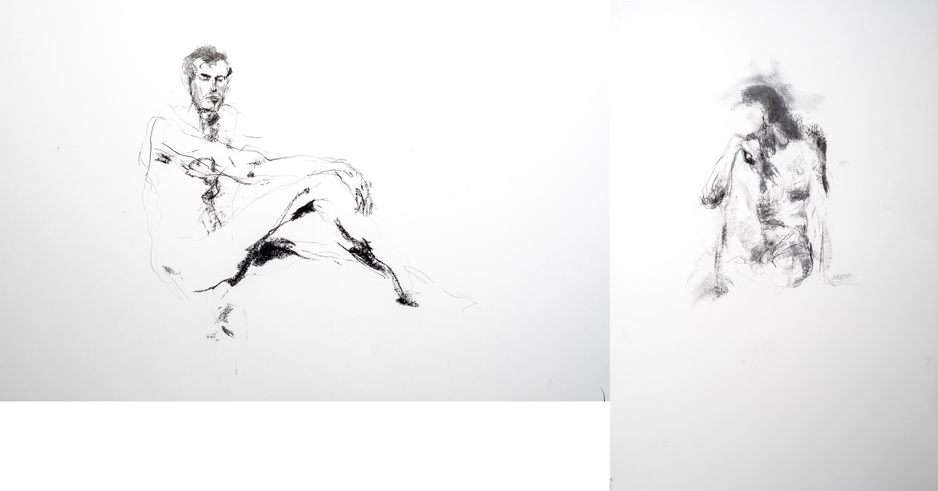 Cortex vs reptilhjernen